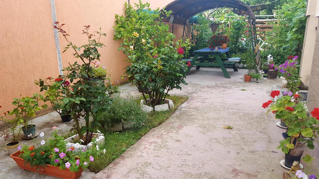 Casa Marvik Διαμέρισμα Oradea Εξωτερικό φωτογραφία